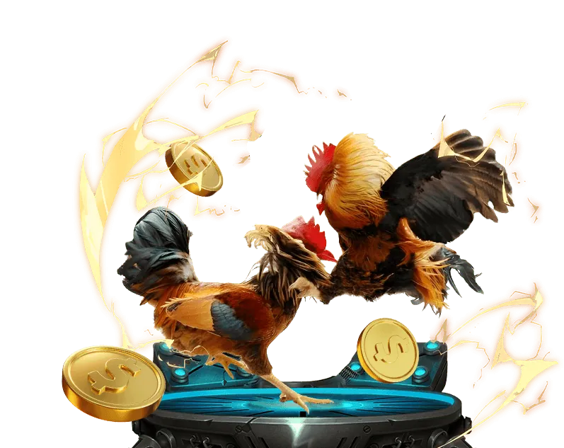 Điền thông tin cá nhân vào form đăng ký